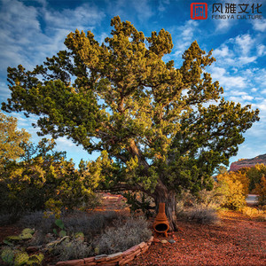 亚洲色色XXXXXXXXXXX
